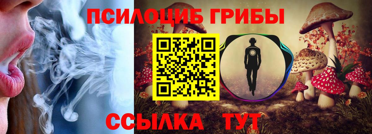 Луга  Псилоцибиновые грибы мухоморы  Вход с VPN 