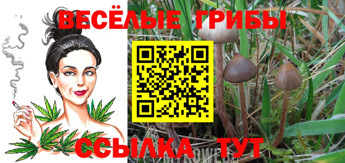 Галлюциногенные грибы прущие грибы Луга
